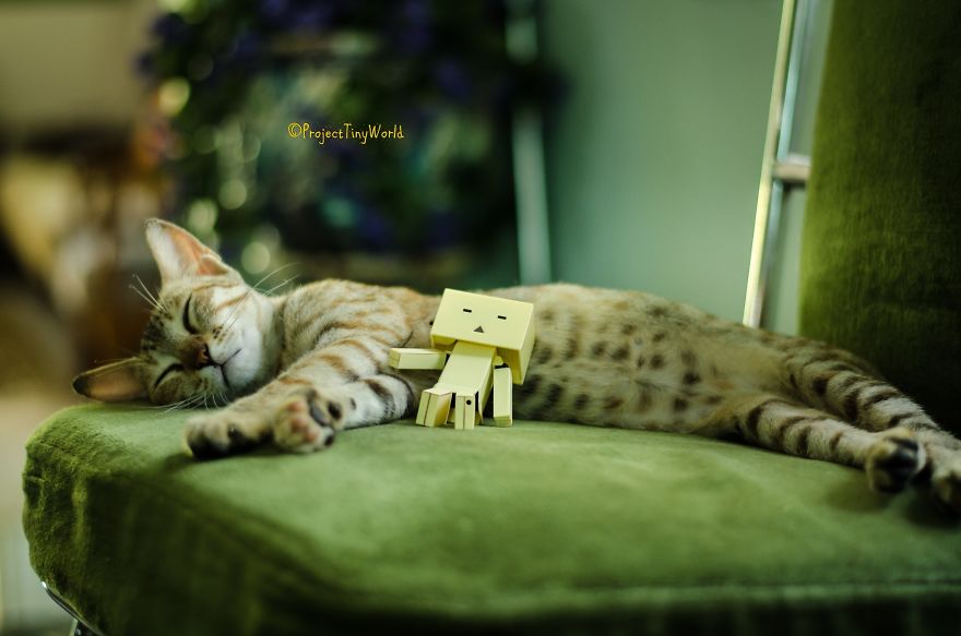 I Make Light-hearted Photographs Using Tiny Toys I Make Light-hearted Photographs Using Tiny Toys