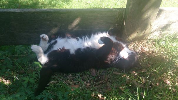 So Sleeps My Beloved Fat Frus Xd