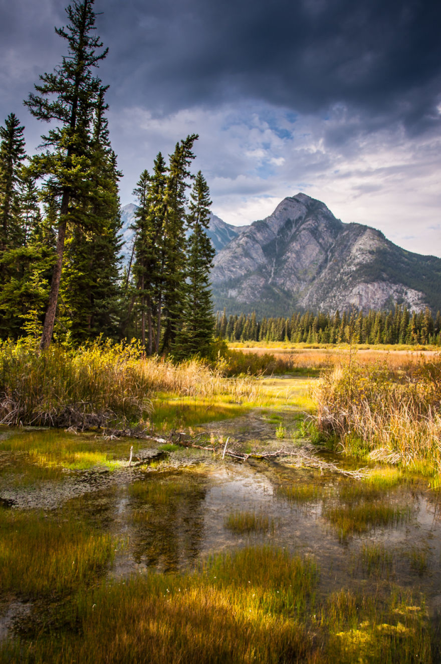 If My Instagram Doesn't Make You Book The Flight To Canada, Nothing Will