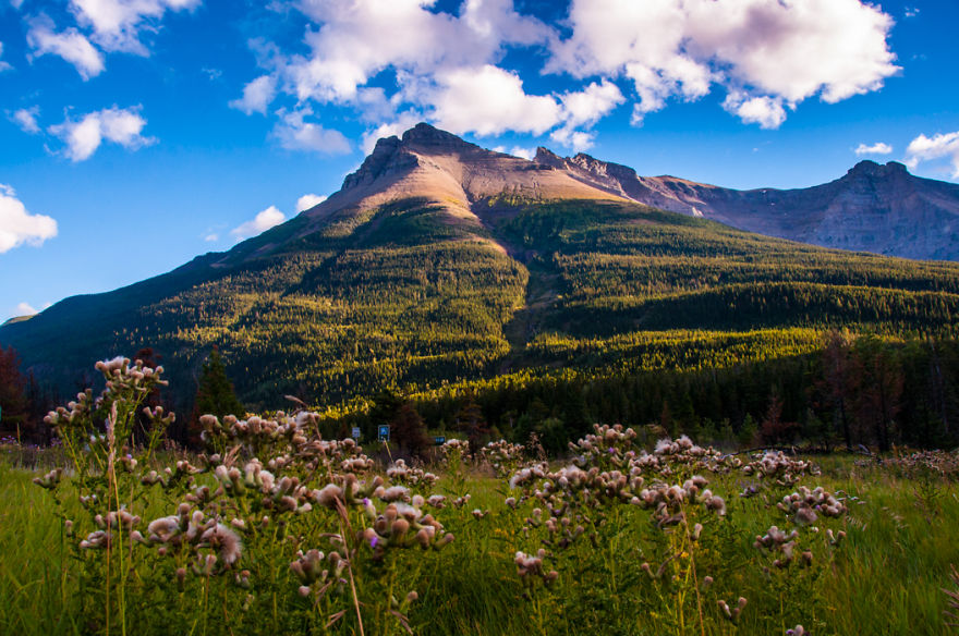 If My Instagram Doesn't Make You Book The Flight To Canada, Nothing Will