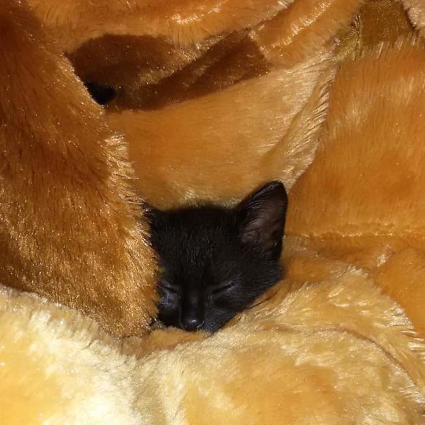 Sleeping With My Friend Teddy Bear