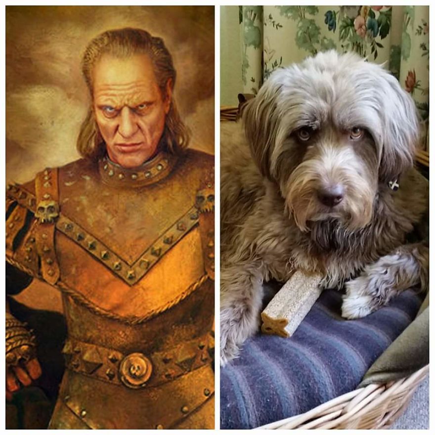 Moses Looks Like Vigo The Carpathian