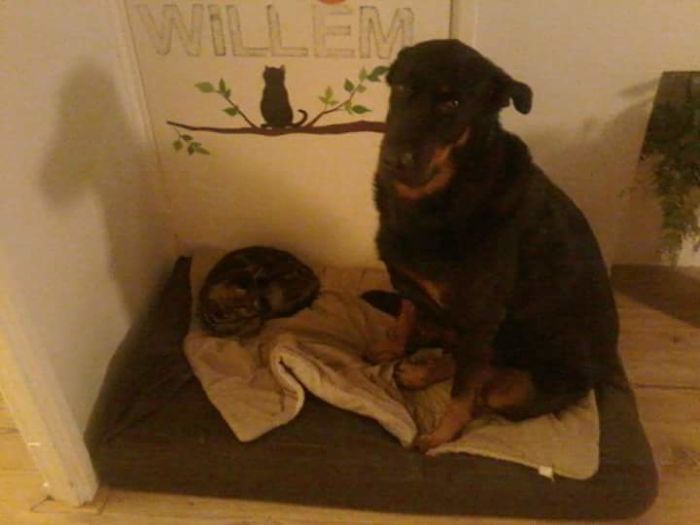 His Face Says It All!