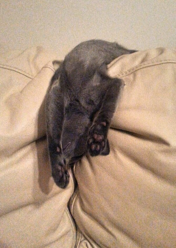 Every Position Is Good...