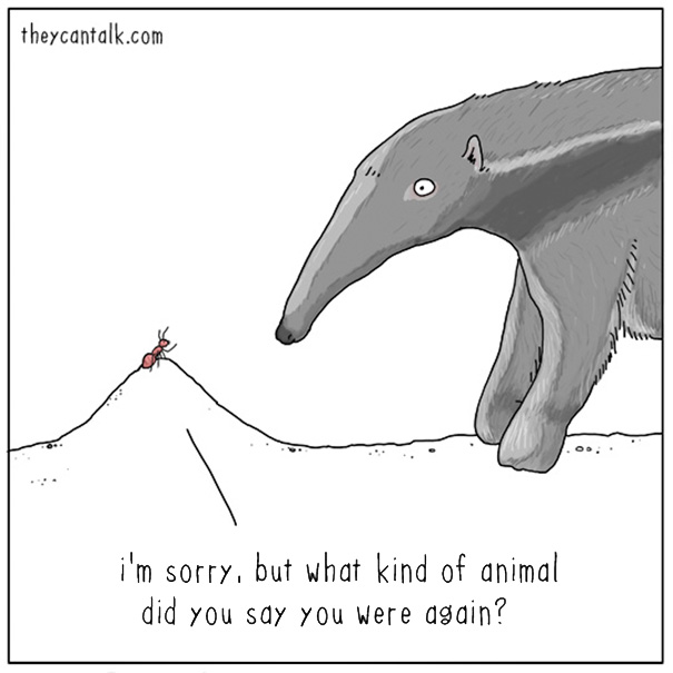 Funny Animal Comics