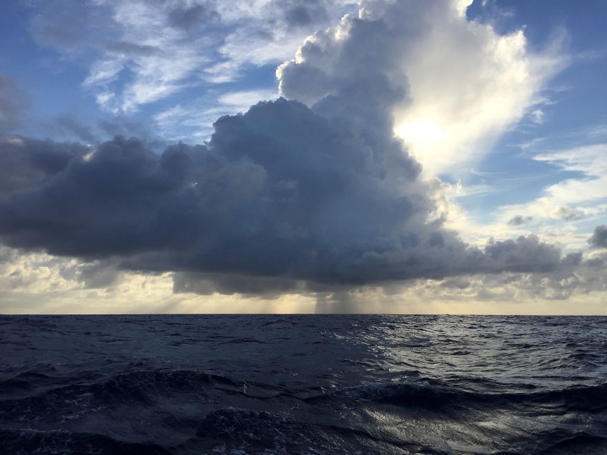 I Sailed The Bermuda Triangle And Survived To Share It With You I Sailed The Bermuda Triangle And Survived To Share It With You