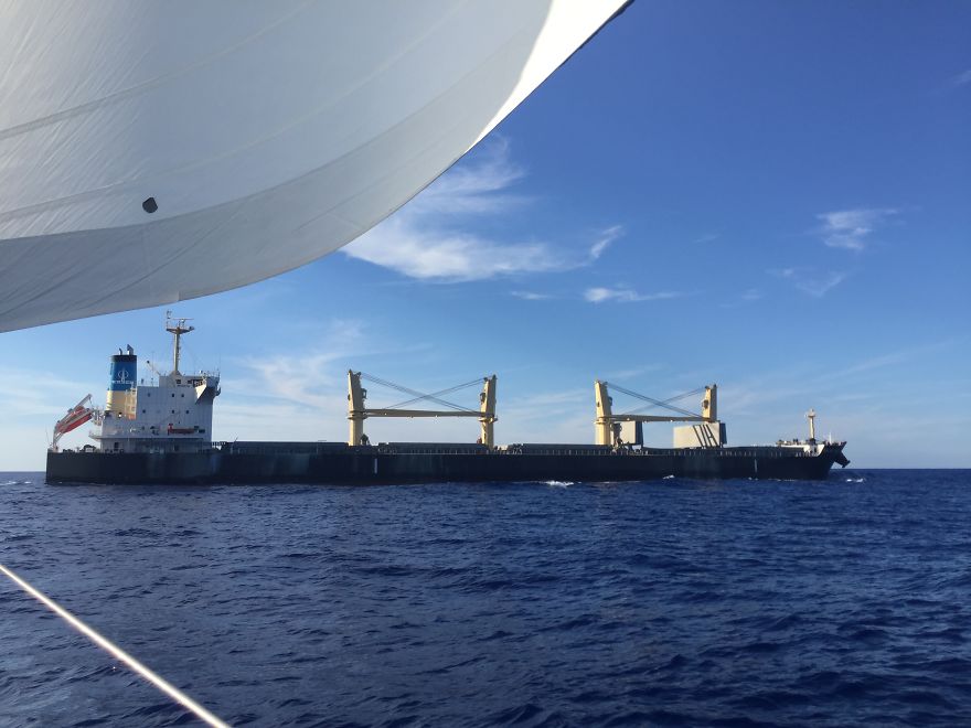 I Sailed The Bermuda Triangle And Survived To Share It With You I Sailed The Bermuda Triangle And Survived To Share It With You