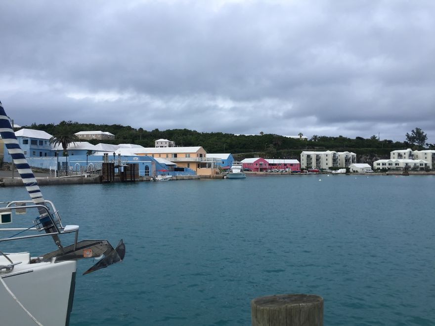 I Sailed The Bermuda Triangle And Survived To Share It With You I Sailed The Bermuda Triangle And Survived To Share It With You