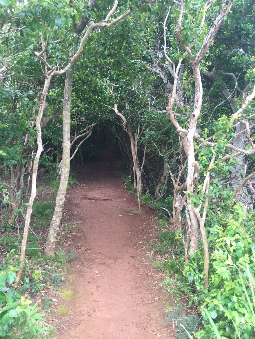 I Sailed The Bermuda Triangle And Survived To Share It With You