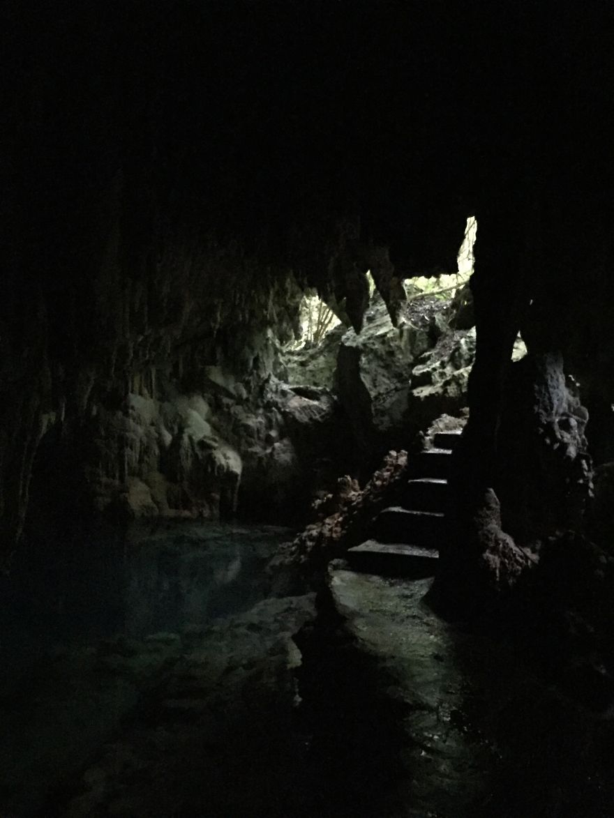 I Sailed The Bermuda Triangle And Survived To Share It With You I Sailed The Bermuda Triangle And Survived To Share It With You