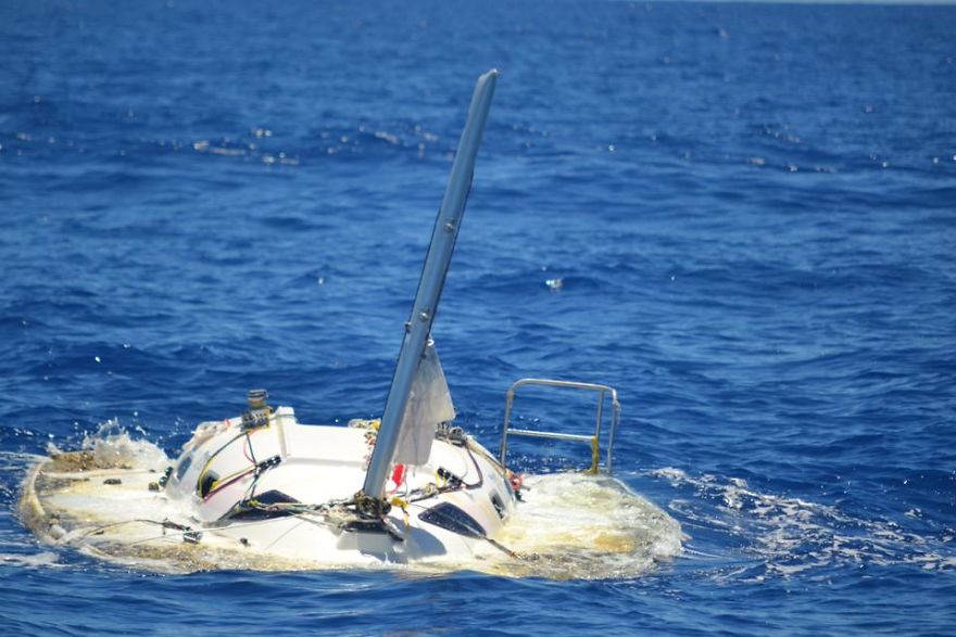 I Sailed The Bermuda Triangle And Survived To Share It With You I Sailed The Bermuda Triangle And Survived To Share It With You