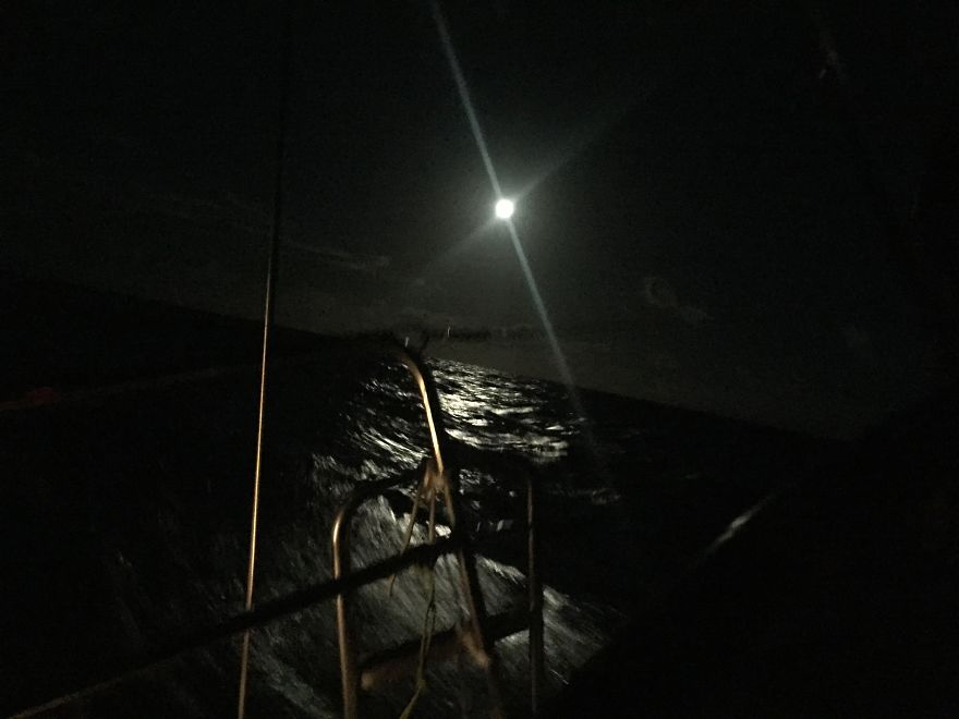 I Sailed The Bermuda Triangle And Survived To Share It With You I Sailed The Bermuda Triangle And Survived To Share It With You