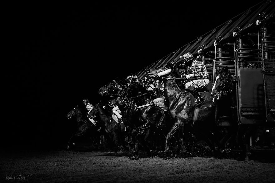 I Capture Horse Races With All Their Light And Dark Sides I Capture Horse Races With All Their Light And Dark Sides