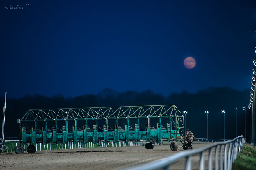 I Capture Horse Races With All Their Light And Dark Sides