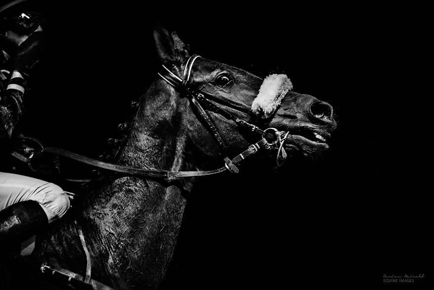 I Capture Horse Races With All Their Light And Dark Sides I Capture Horse Races With All Their Light And Dark Sides