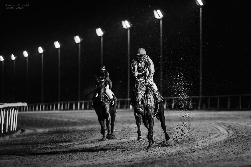 I Capture Horse Races With All Their Light And Dark Sides I Capture Horse Races With All Their Light And Dark Sides