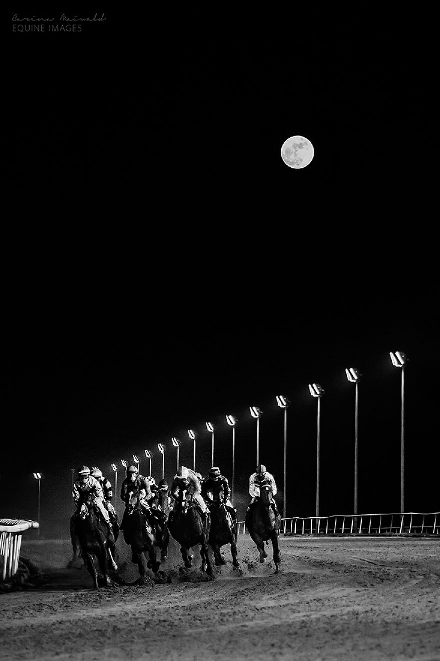 I Capture Horse Races With All Their Light And Dark Sides I Capture Horse Races With All Their Light And Dark Sides