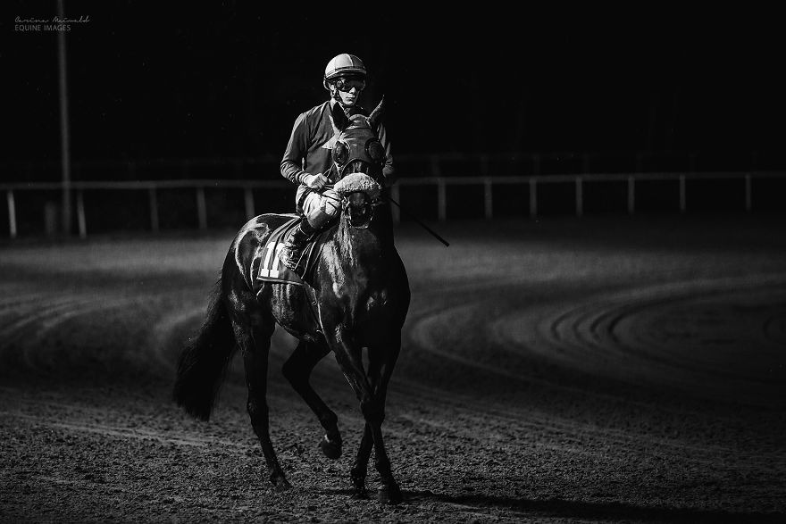 I Capture Horse Races With All Their Light And Dark Sides I Capture Horse Races With All Their Light And Dark Sides