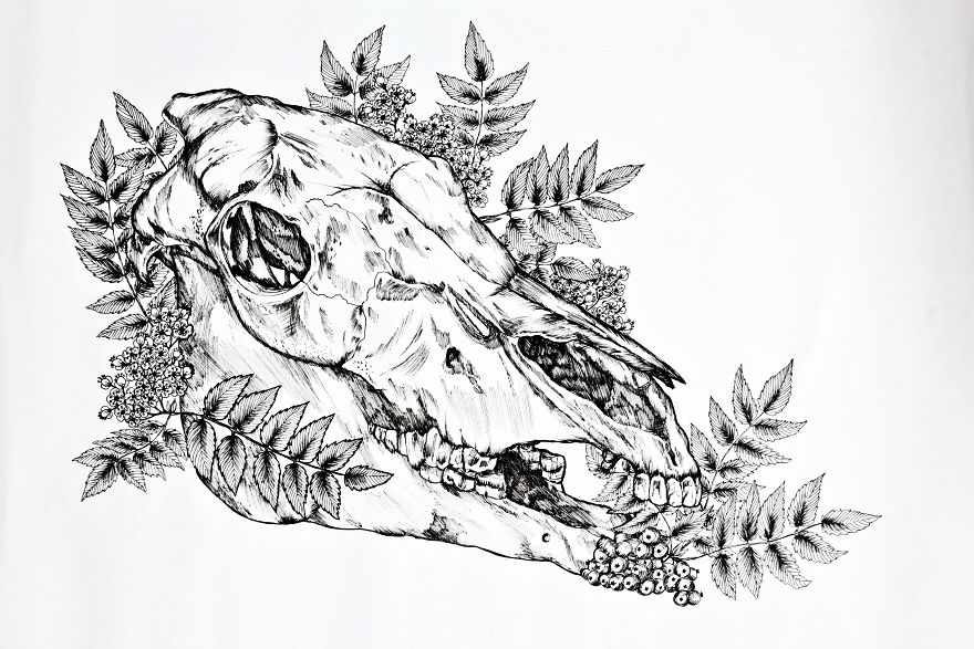 I Merge Animals And Plants Into One Drawing