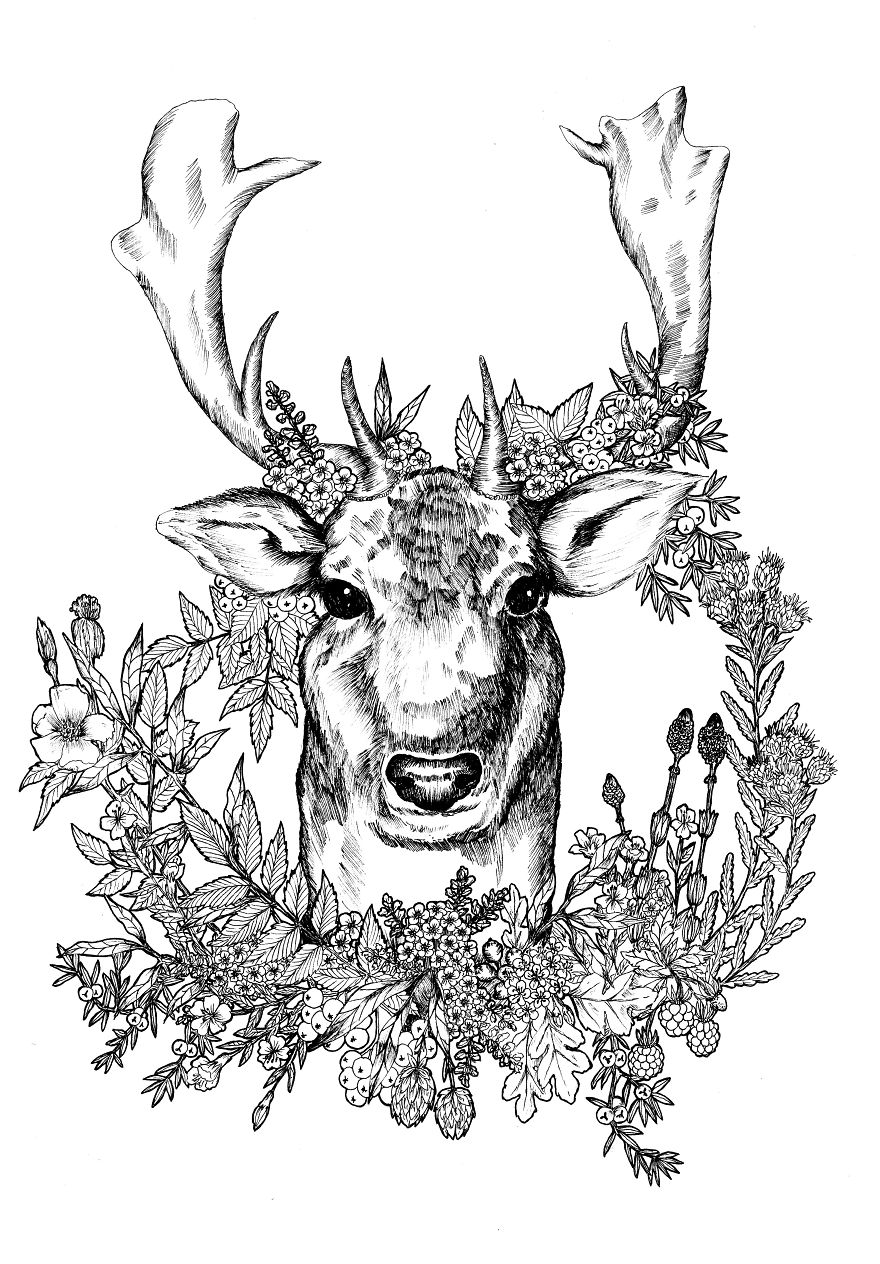 I Merge Animals And Plants Into One Drawing