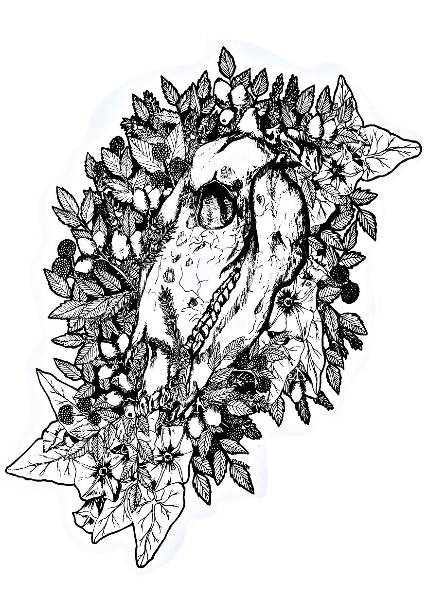 I Merge Animals And Plants Into One Drawing