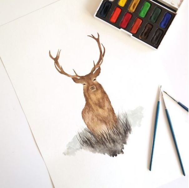 I Paint Watercolor Illustrations