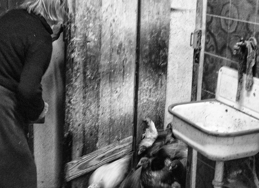 I Followed My 83-Year-Old Grandma Around Her Farm For One Day