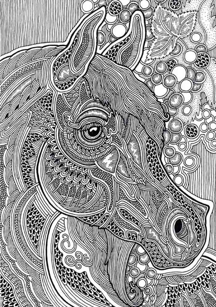 I Love To Draw Horses