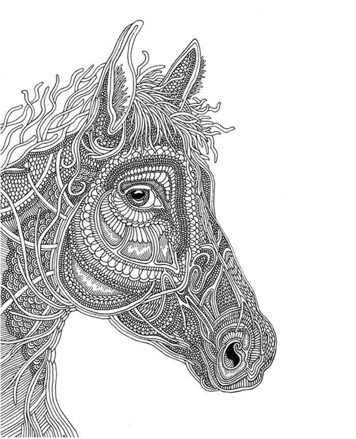 I Love To Draw Horses