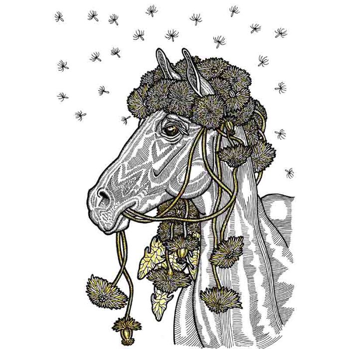 I Love To Draw Horses