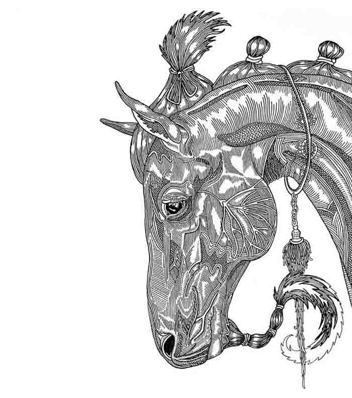 I Love To Draw Horses