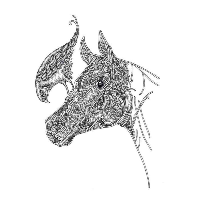 I Love To Draw Horses