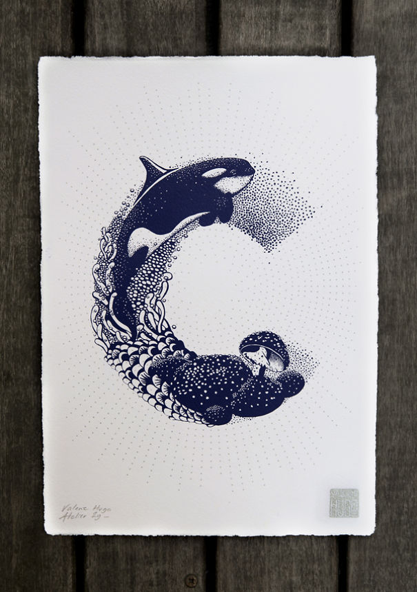 I Created A Complete Alphabet Inspired By Flora And Fauna I Created A Complete Alphabet Inspired By Flora And Fauna