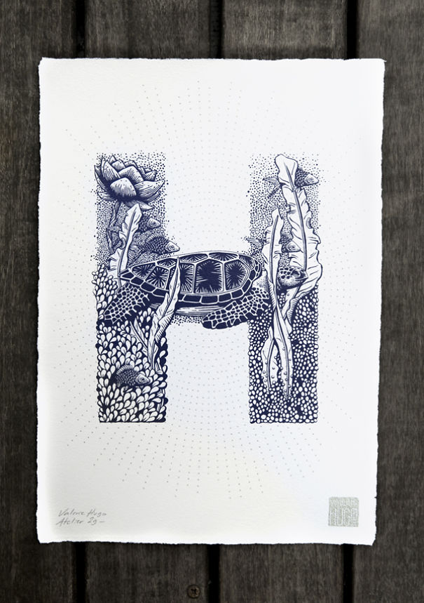 I Created A Complete Alphabet Inspired By Flora And Fauna I Created A Complete Alphabet Inspired By Flora And Fauna