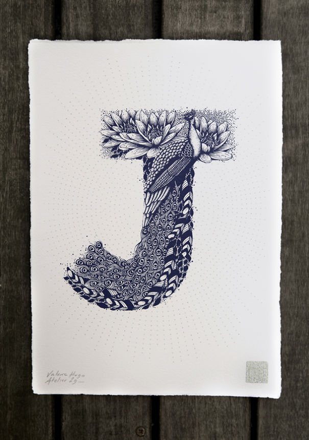 I Created A Complete Alphabet Inspired By Flora And Fauna I Created A Complete Alphabet Inspired By Flora And Fauna