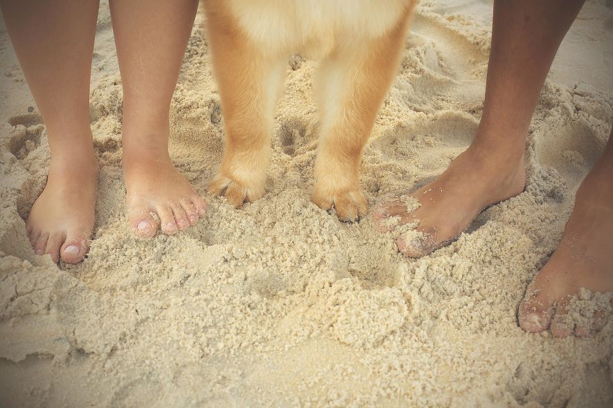 I Photograph Pets In Funny Moments To Raise Money For Charity