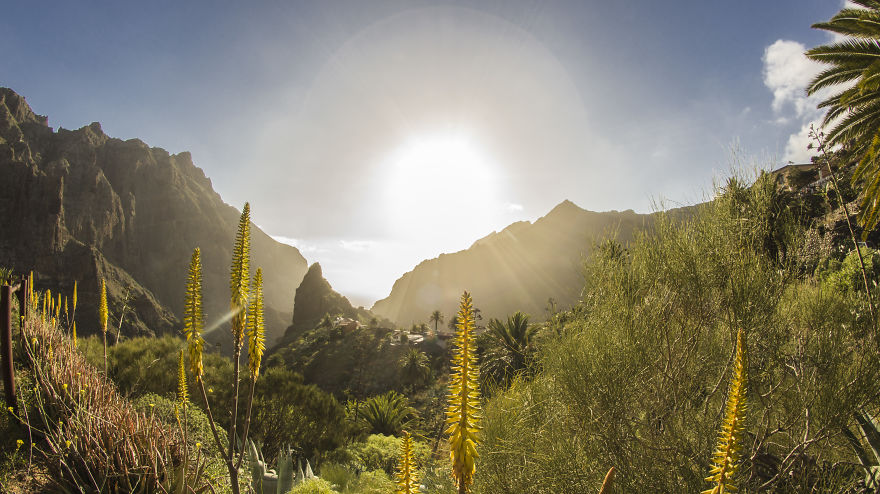 I Went On A 3-Month-Long Solo Adventure In Tenerife