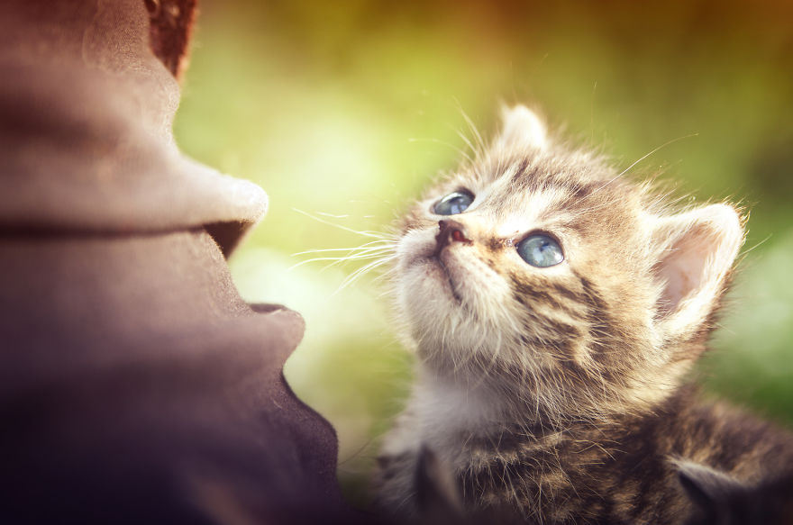 Can You See The Life Behind The Form?
i Take Animal Portraits To Show Life Is The Same Behind All Form Can You See The Life Behind The Form?
i Take Animal Portraits To Show Life Is The Same Behind All Form