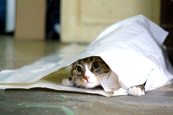 My Favorite Hiding Place