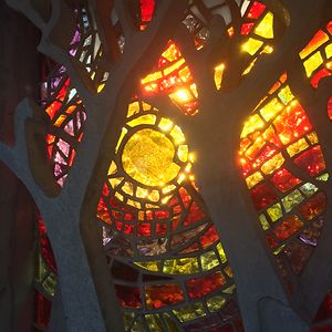 penny-houghton avatar