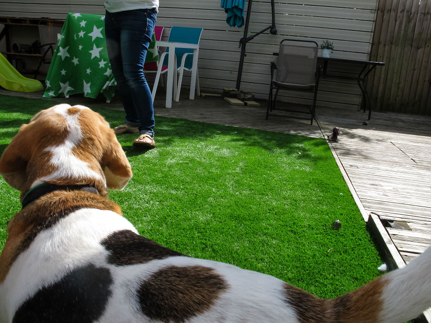 I Gave My 19-Month-Old Son My Old Canon G12: Here’s His POV I Gave My 19-Month-Old Son My Old Canon G12: Here’s His POV