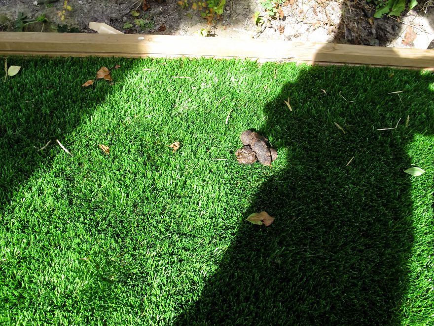 I Gave My 19-Month-Old Son My Old Canon G12: Here’s His POV I Gave My 19-Month-Old Son My Old Canon G12: Here’s His POV