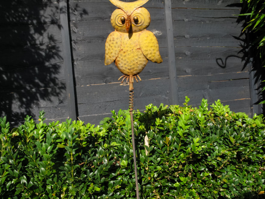 I Gave My 19-Month-Old Son My Old Canon G12: Here’s His POV I Gave My 19-Month-Old Son My Old Canon G12: Here’s His POV