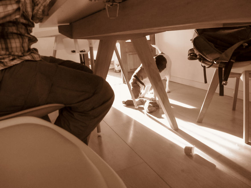 I Gave My 19-Month-Old Son My Old Canon G12: Here’s His POV