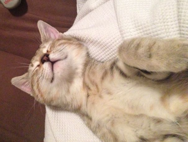 A Comfy Girl Is A Happy Girl