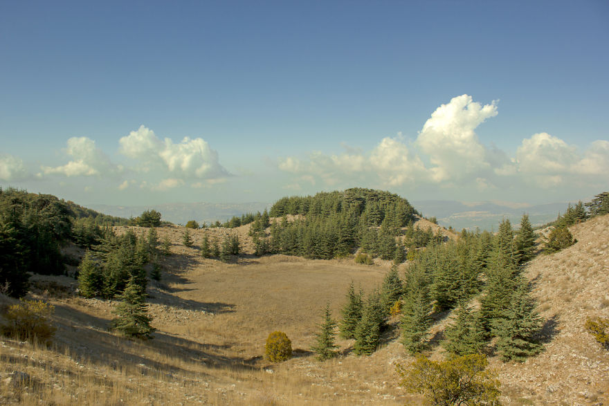 I Show The Beauty Of Lebanon In All Its Seasons