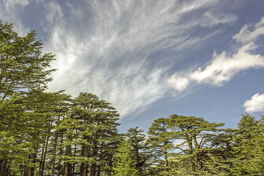 I Show The Beauty Of Lebanon In All Its Seasons