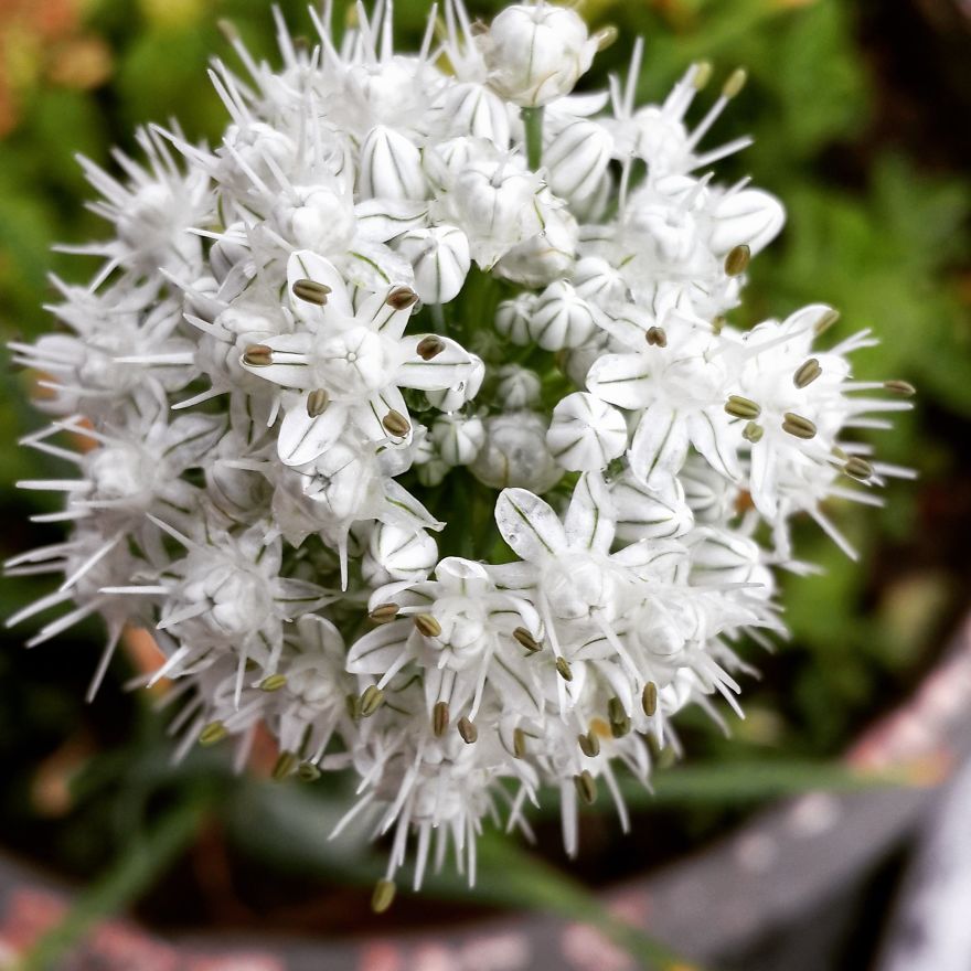 My Nature Photography