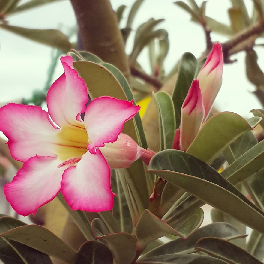 My Nature Photography