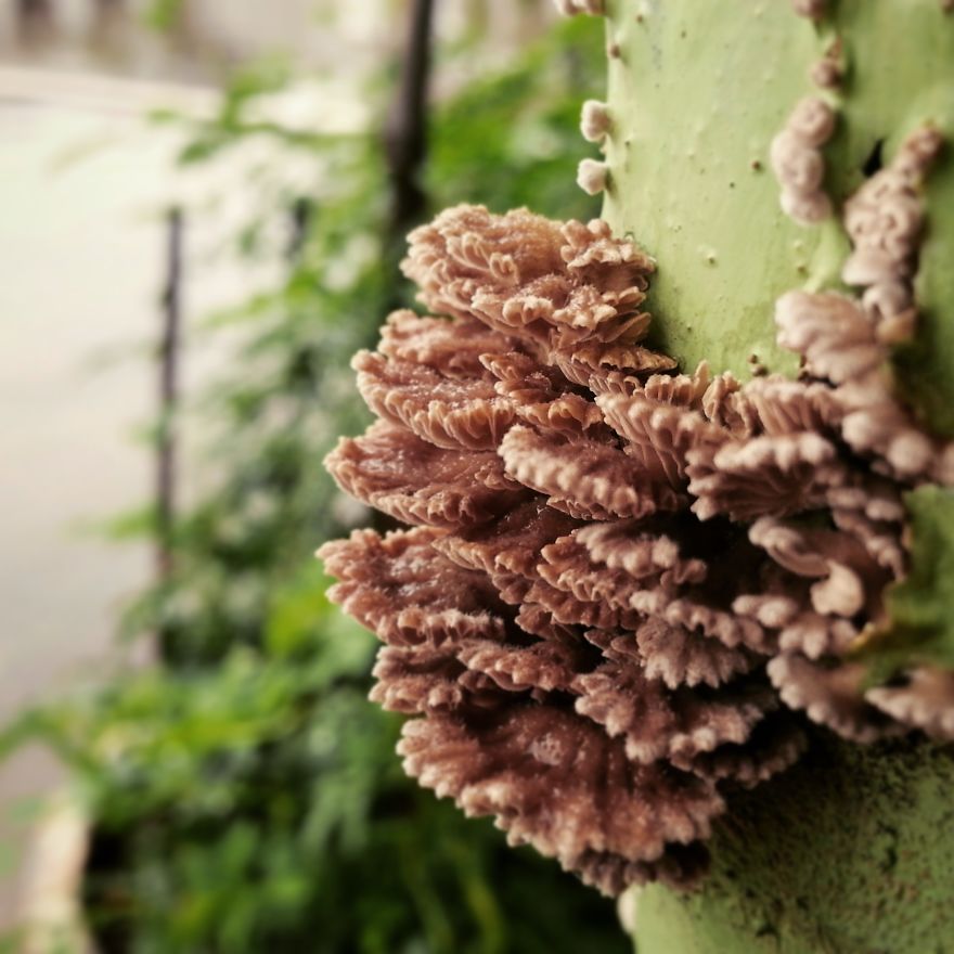 My Nature Photography